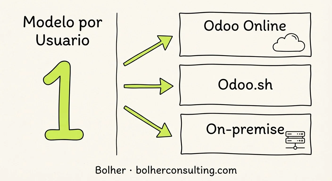 Esquema del modelo de suscripción de Odoo por usuario y entornos de despliegue.