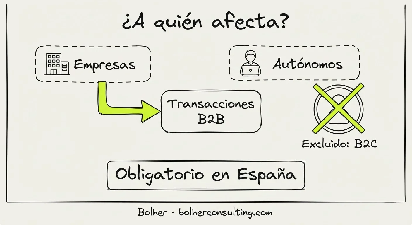 Infografía sobre el alcance de la factura electrónica en transacciones B2B